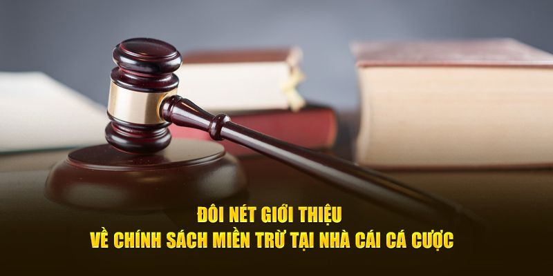 Miễn Trừ Trách Nhiệm - Xây Dựng Môi Trường Cá Cược An Toàn 1 Vài nét thú vị về miễn trừ trách nhiệm tại Sunwin